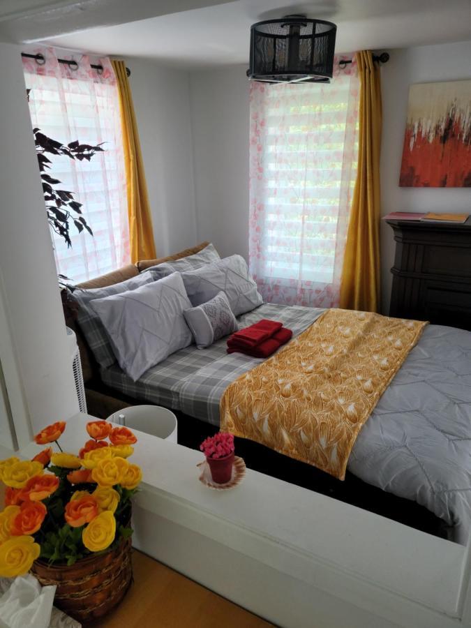 Vibrant Apartment In The Heart Of The Town Эдмундстон Экстерьер фото